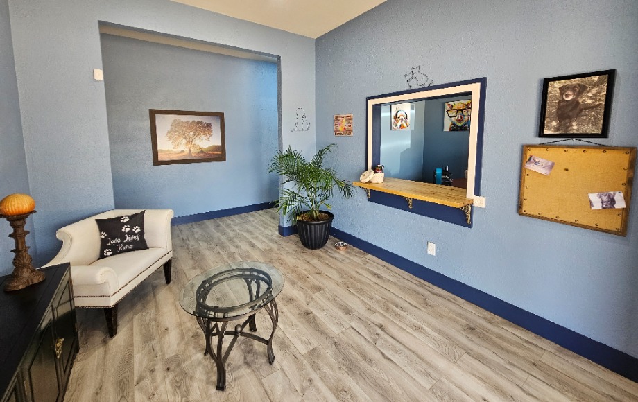 Carlson Pet memorial Office