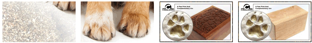 Low Cost Pet Cremation