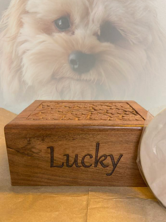 Low Cost Pet Cremation